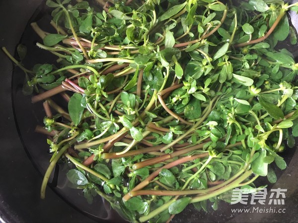 凉拌马齿苋的做法