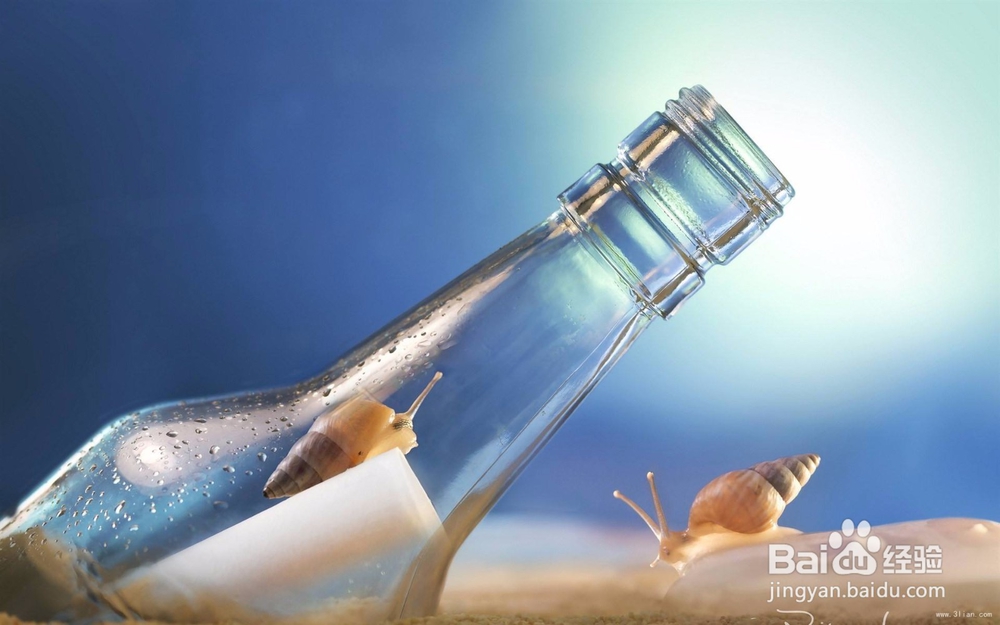 调查发现，从来不发朋友圈的，多半都是这类人