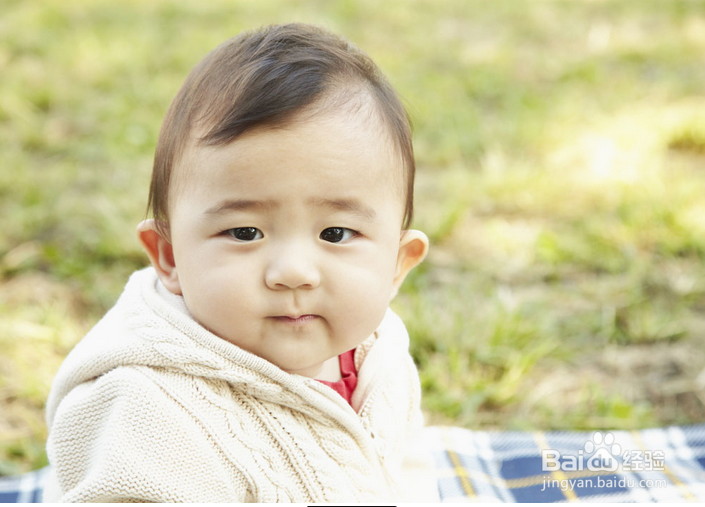 怎样激发宝宝早期阅读能力