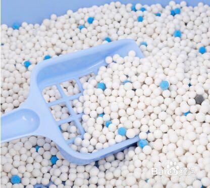 你家主子的猫砂选对了吗？