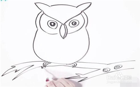伴儿成长简笔画系列-怎样画猫头鹰简笔画