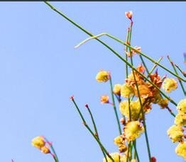 美容生活小常识1