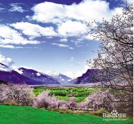 西藏春季旅游攻略
