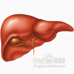 湿热体质的表现症状及调理方法
