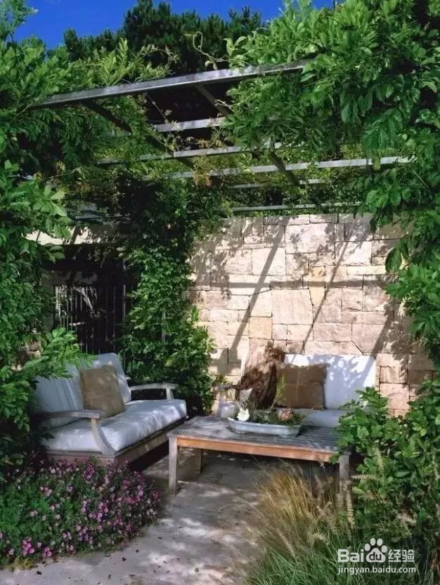 50岁回农村,一栋房、一个庭院、就此过一生!