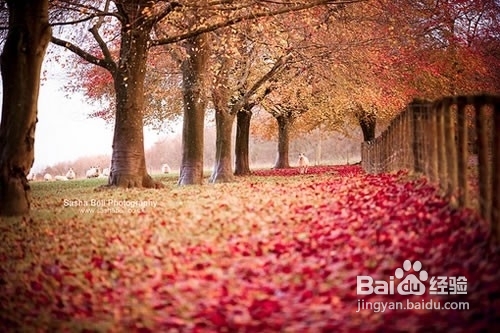 10个故事，提升人生价值！给你的头脑净化一下！