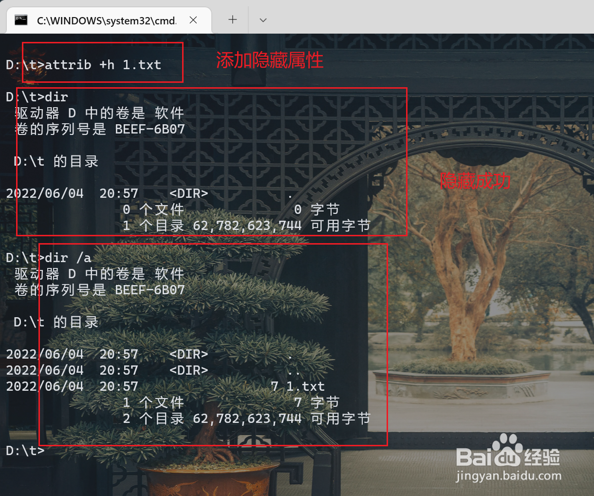 Cmd命令行怎么隐藏文件或文件夹