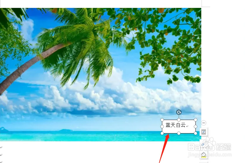 WPS文档怎么在插入的图片上输入文字