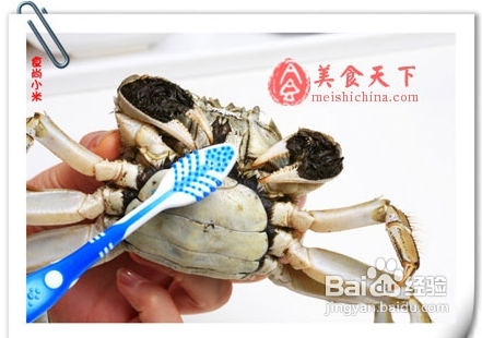 阳澄湖大闸蟹花雕蒸醉蟹