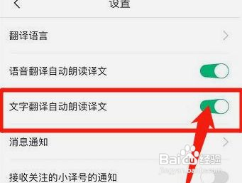彩云小译如何设置文字翻译自动朗读译文