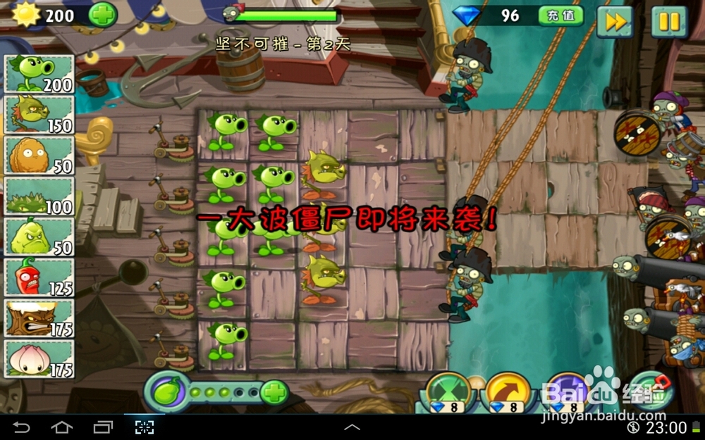 植物大战僵尸2海盗港湾坚不可摧第二天
