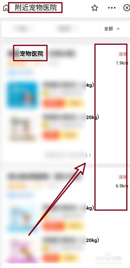 猫咪嘴里有腥臭味怎么办