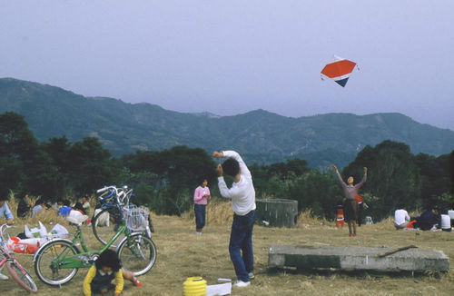 【运动】放风筝的技巧