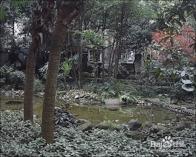 DOD ZS35W行车记录仪开箱晒物