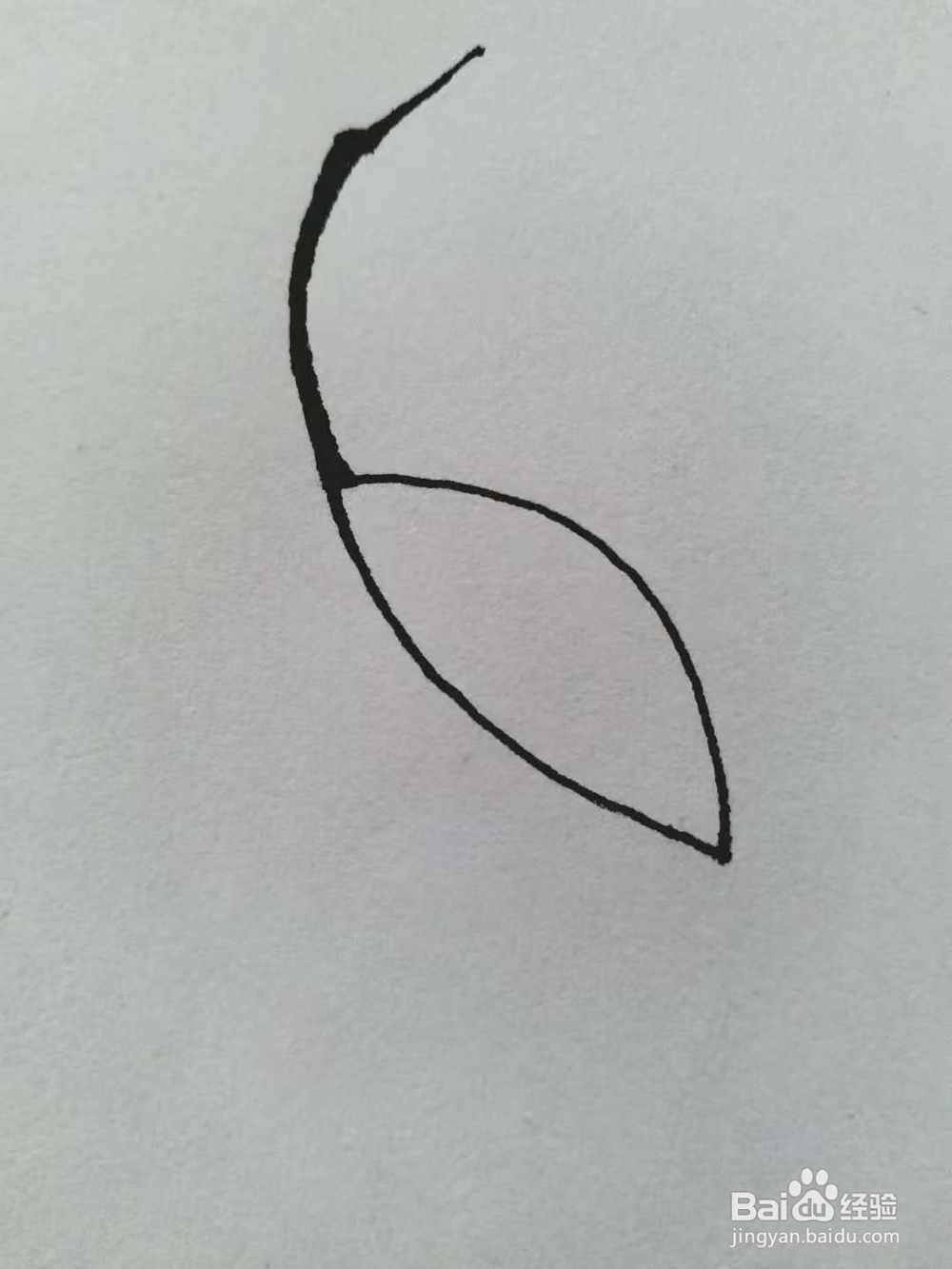 丹顶鹤的简笔画法《一》