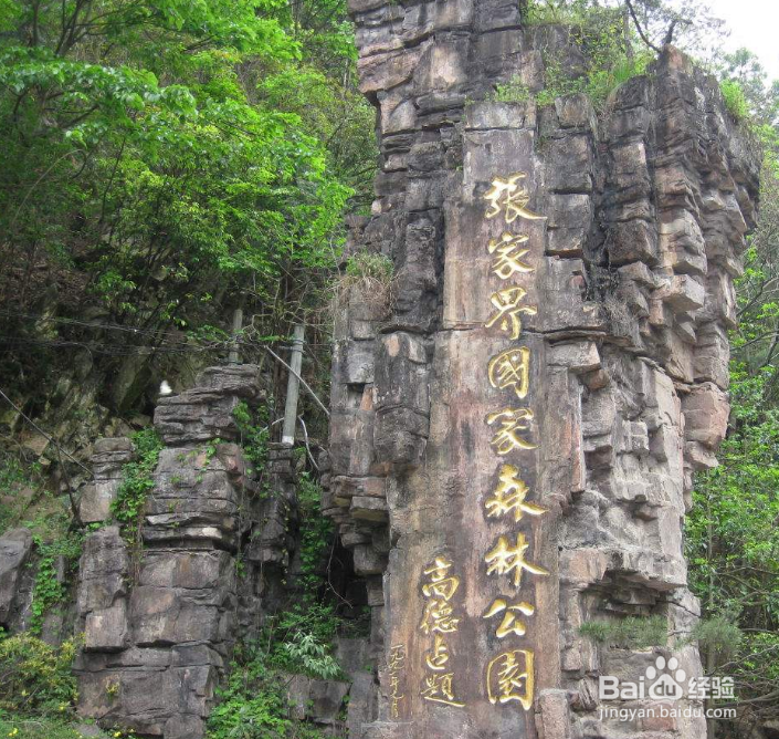 张家界哪里好玩的景点推荐