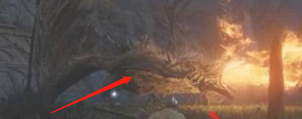 艾尔登法环龙飨教堂激活方法