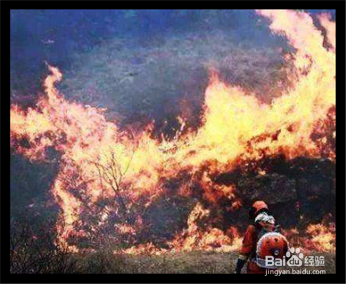 森林救火方法