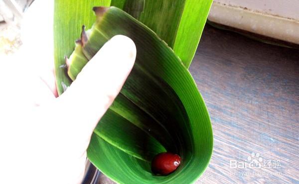 一步步做馋嘴的红枣豆沙粽