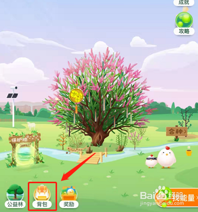 支付宝蚂蚁森林限时能量雨在哪里获得