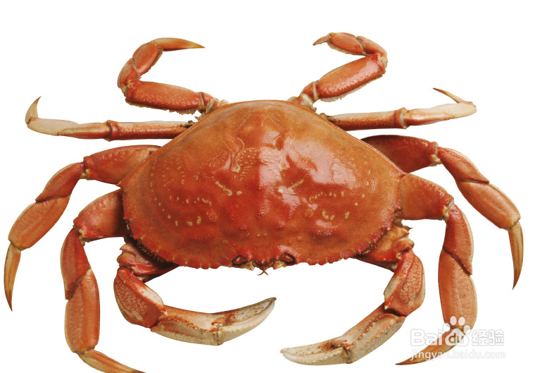 怎么办快速申请信用卡