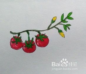 西红柿怎么画？