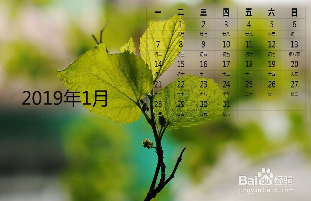 如何用ps制作日历