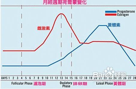 黄体不足怎么办 百度经验