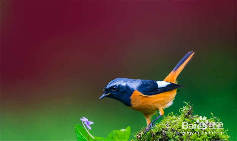 如何过一个愉快的周末