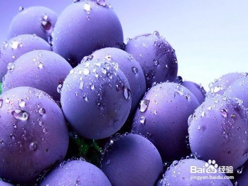 肾结石对人体危害的大小有哪些因素决定