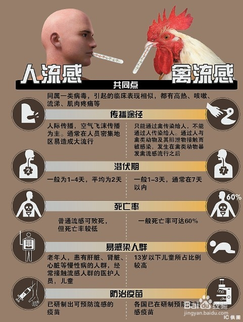 人感染h7n9禽流感的症状及预防