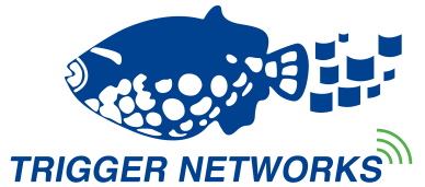 国内企业实施NetSuite erp的案例分享！