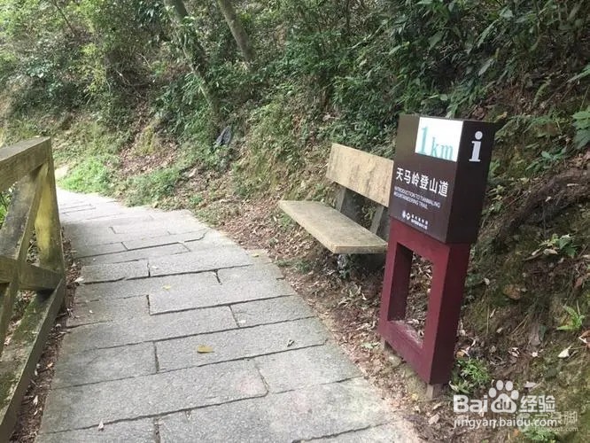 马岭天观怎么上山