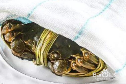 大闸蟹怎么保存
