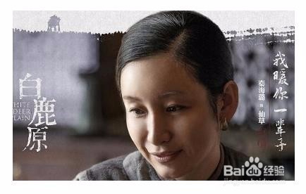 电视剧《白鹿原》剧中主要人物介绍