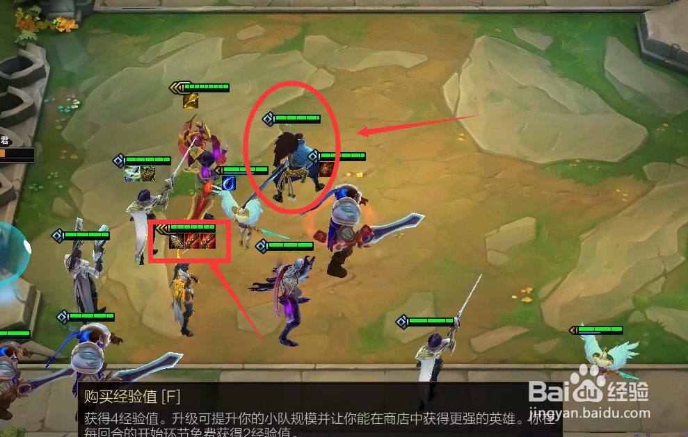 云顶之弈贵族剑士流怎么玩 贵族剑士流阵容搭配