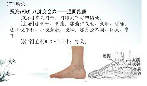 中医经络知识之足少阴肾经图解