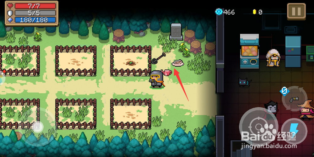 元气骑士怎么种植物，元气骑士花圃怎么玩