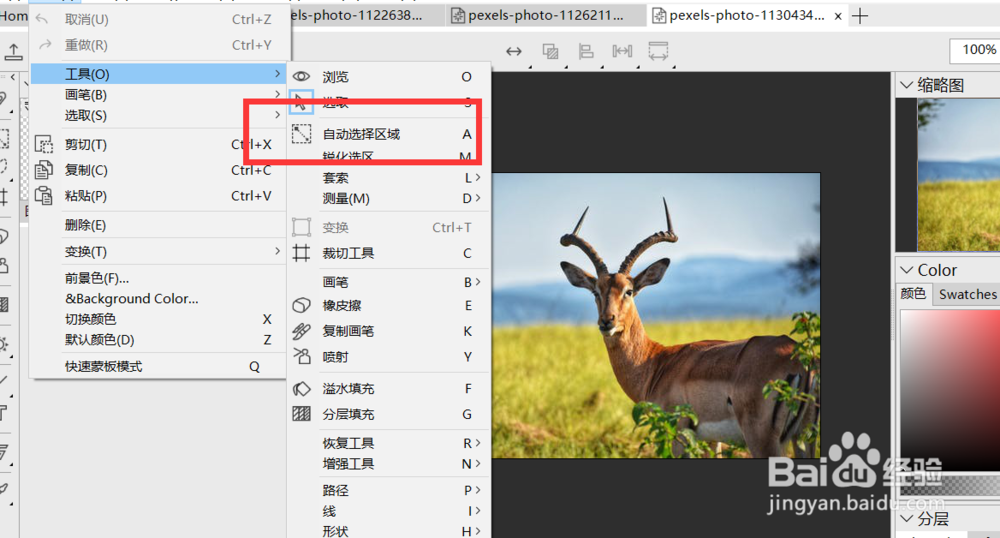 怎么使用hornil的自动选择区域工具