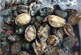 三亚第一市场吃海鲜