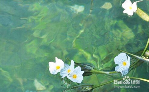 男人最烦女人什么？讨厌什么样的女人？