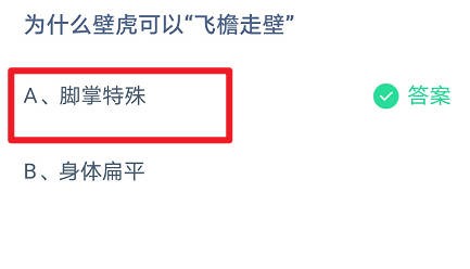 蚂蚁庄园 为什么壁虎可以”飞檐走壁”