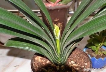 生活中应该知道哪些小常识?