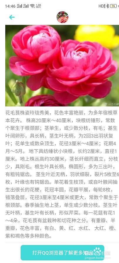 花卉扫一扫识别功能怎么用