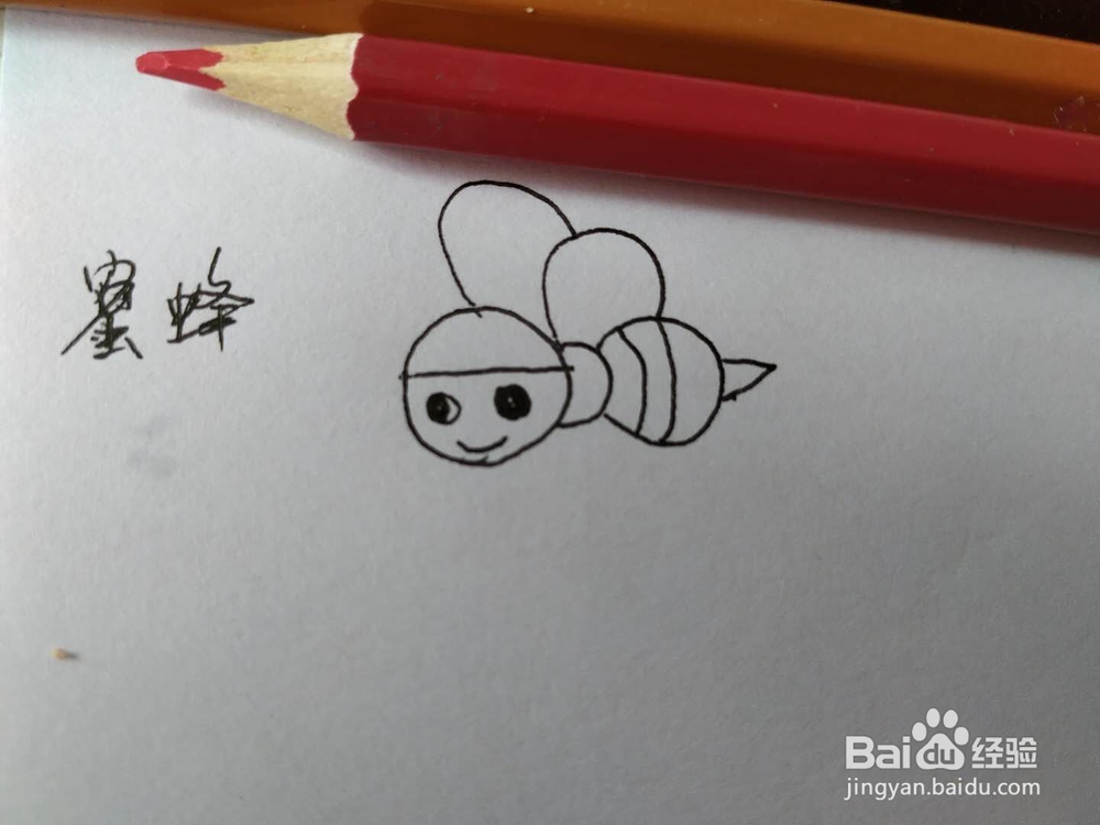 小蜜蜂简笔画怎么画,怎么画卡通小蜜蜂简笔画