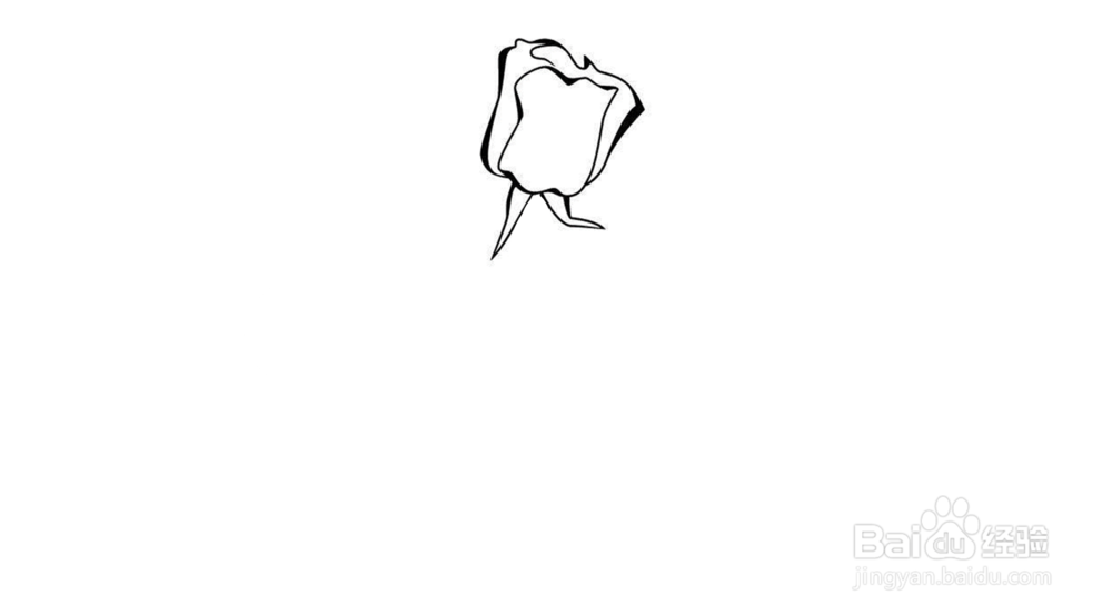 玫瑰花简笔画教程