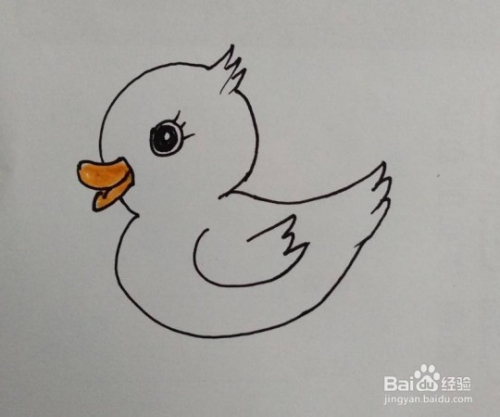如何画小鸭子,怎么画小鸭子游泳