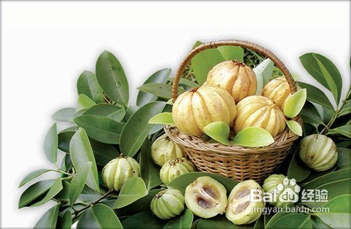 4种营养成分瘦身功效堪比减肥药