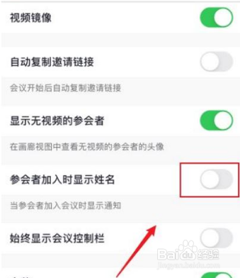 Zoom如何关闭名字显示