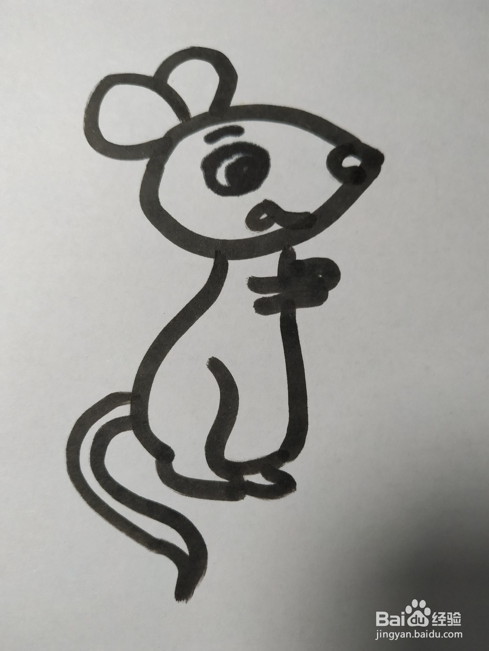 老鼠的简笔画技法(十)